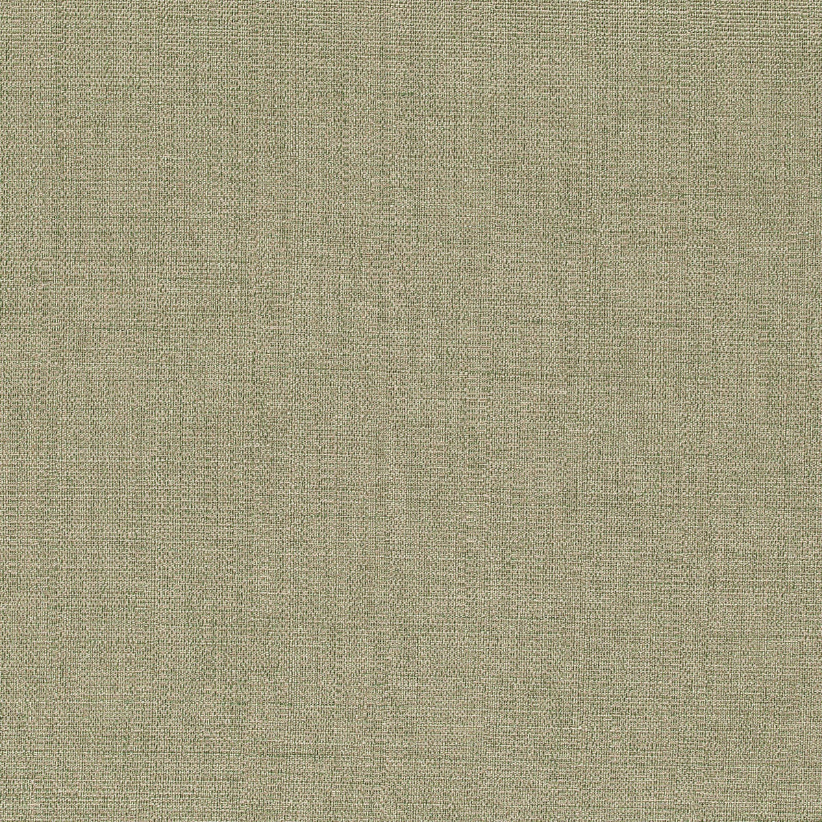 Callista-Sage