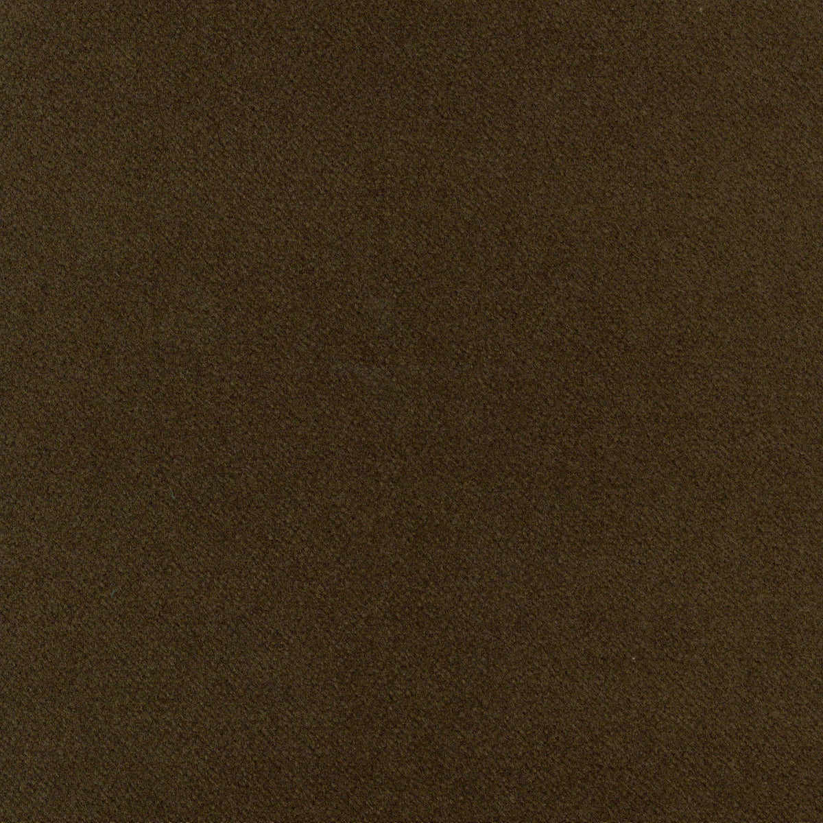 A5331 Cafe