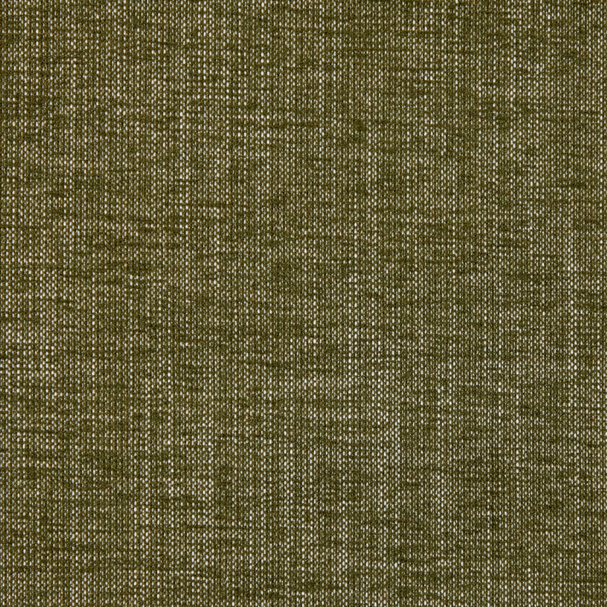 S6685 Moss