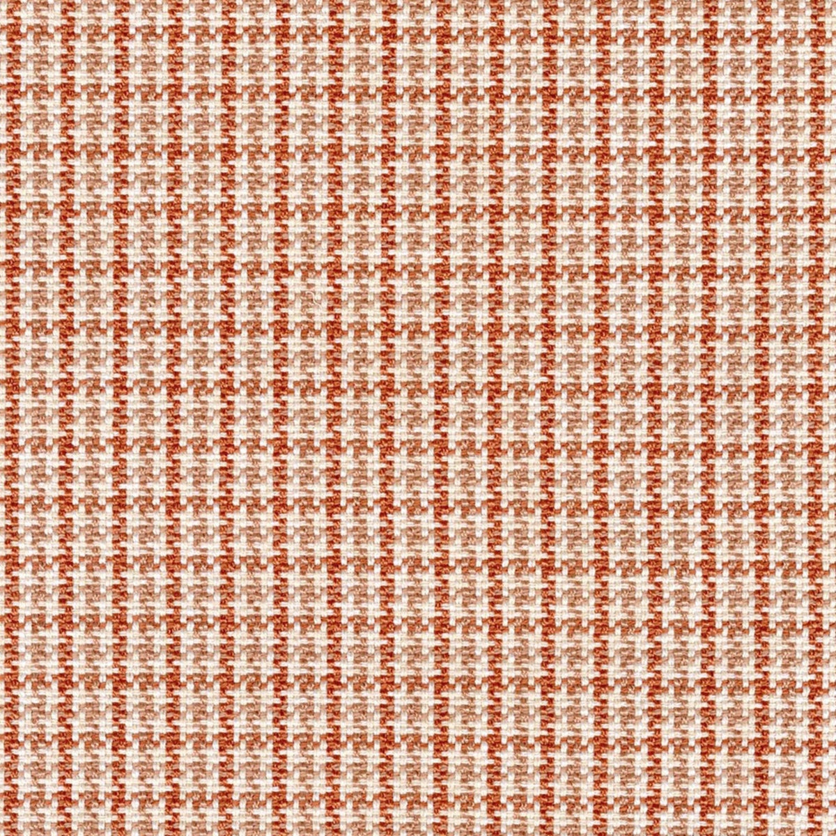 S6979 Coral