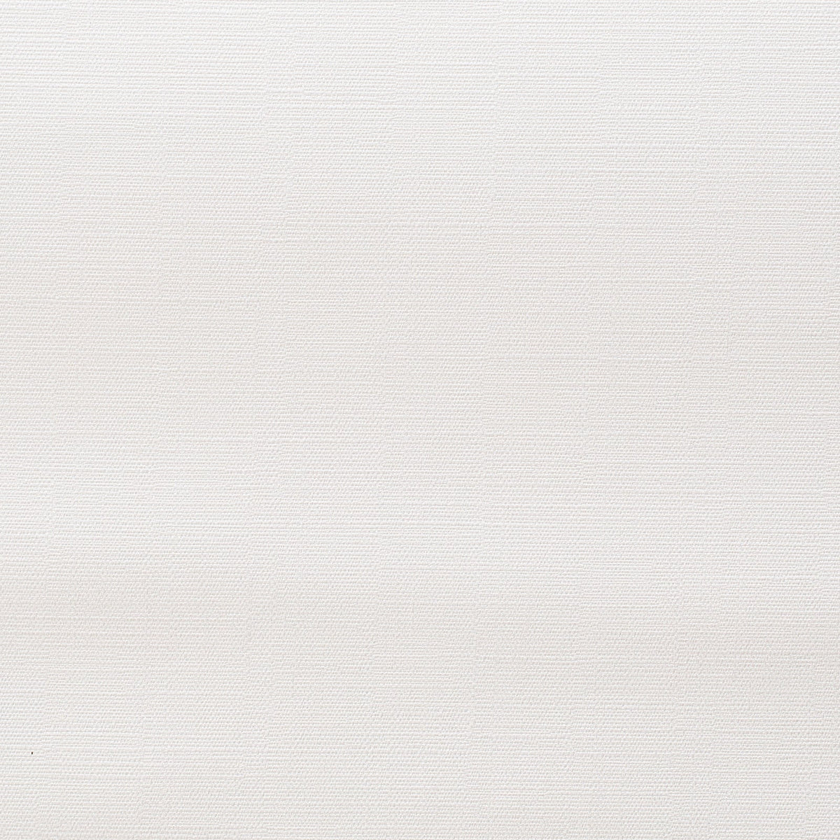 Callista-White