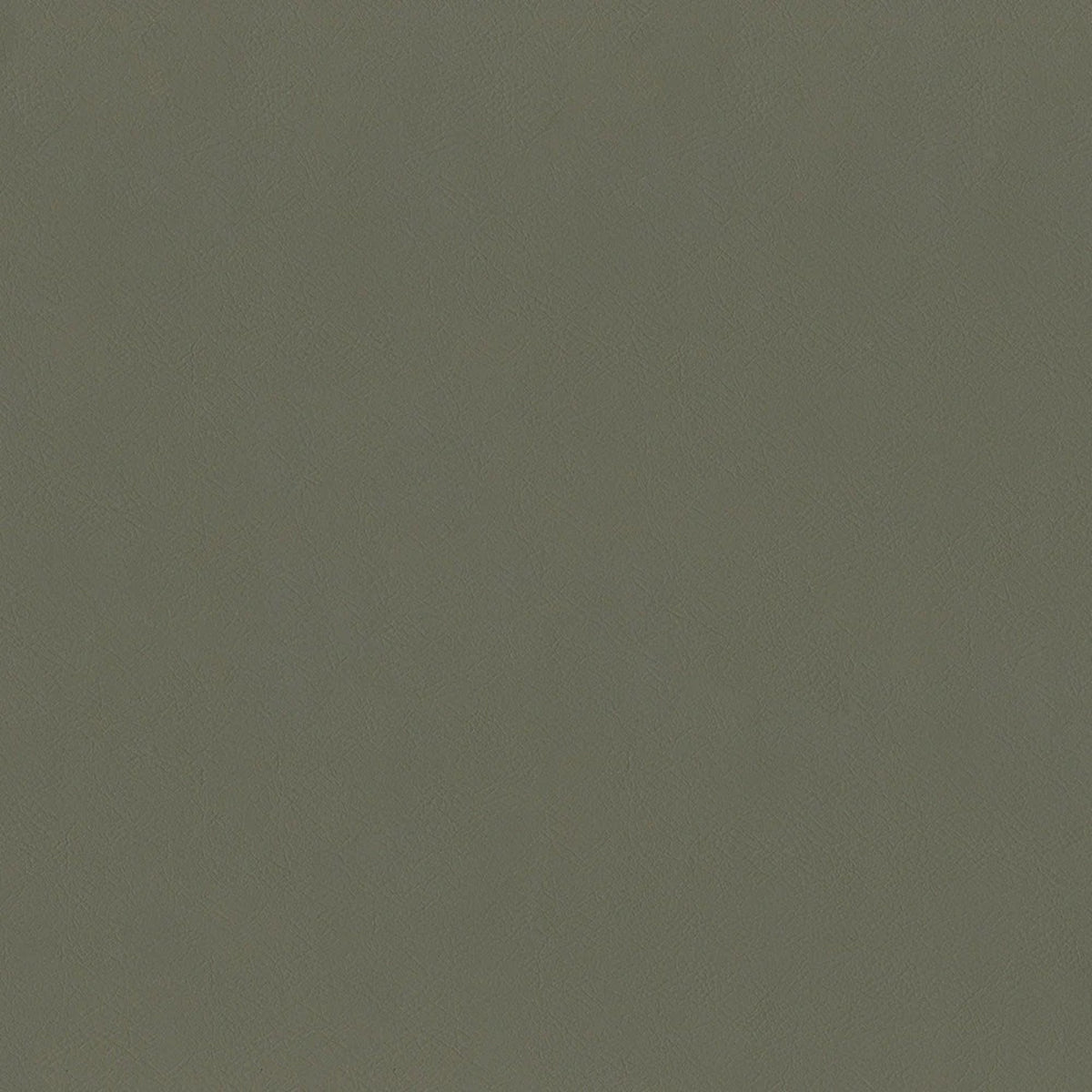 Greenhouse F2870 Fabric | Atlanta Fabrics