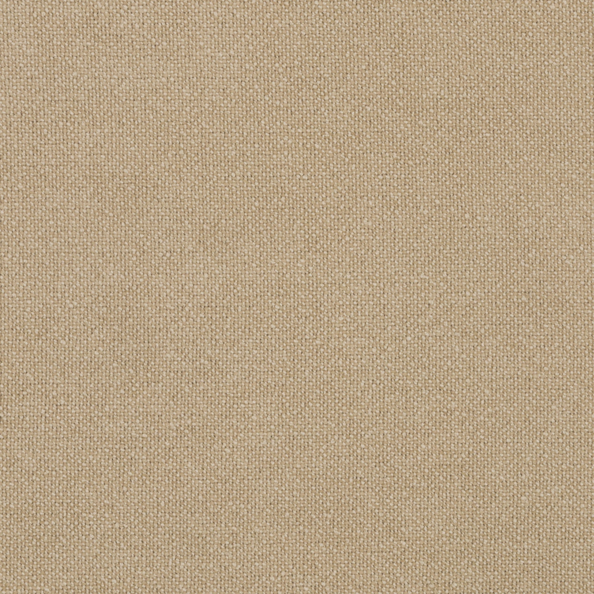 S5570 Cream