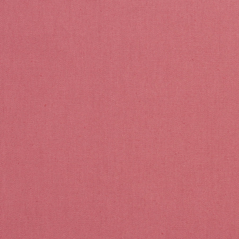 3884 Rose