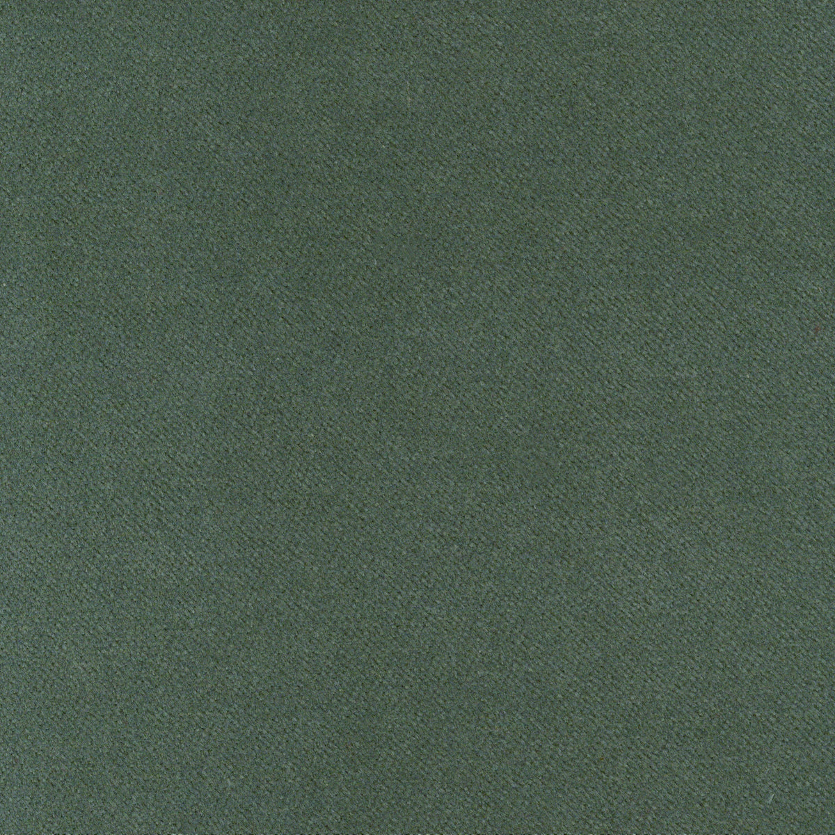 A5312 Pool