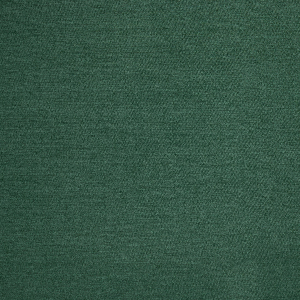 S6894 Ocean