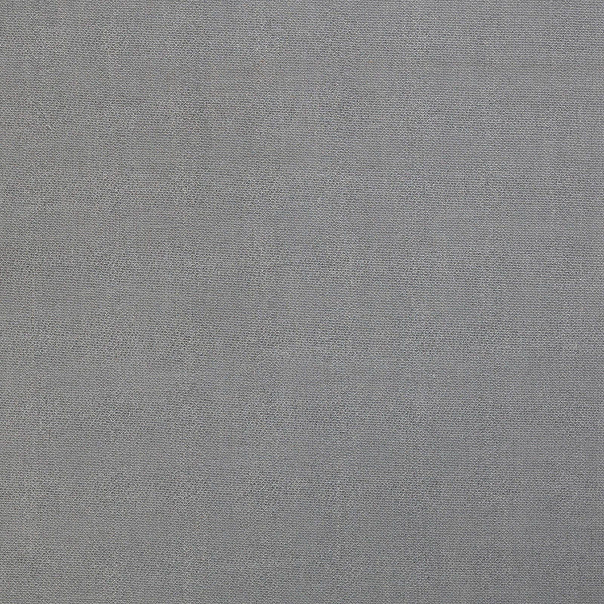 Honor-Dove