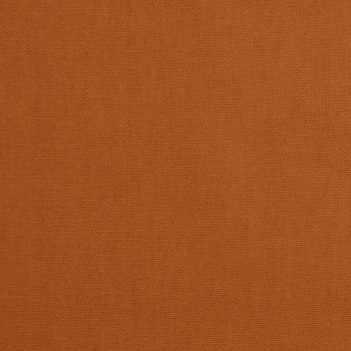 Daffy-Gold