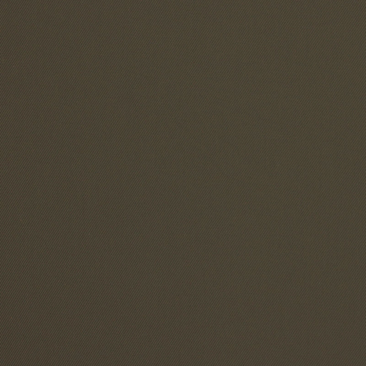 Palomino-Putty