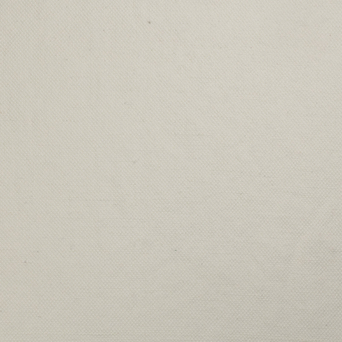 Worthy-Canvas