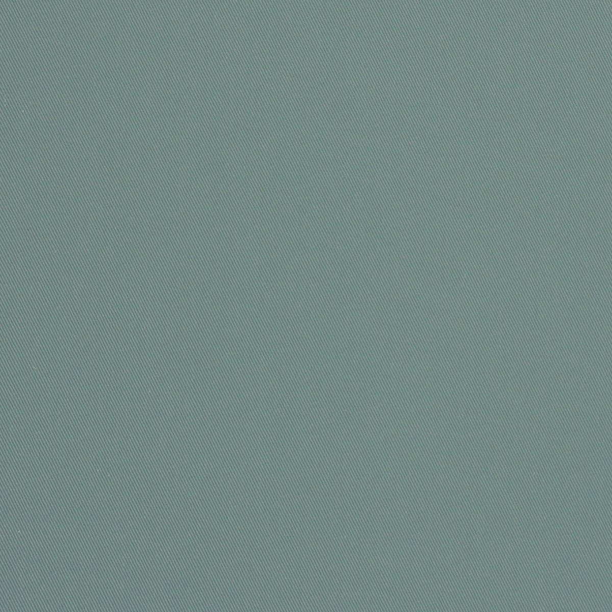 Palomino-Cloud