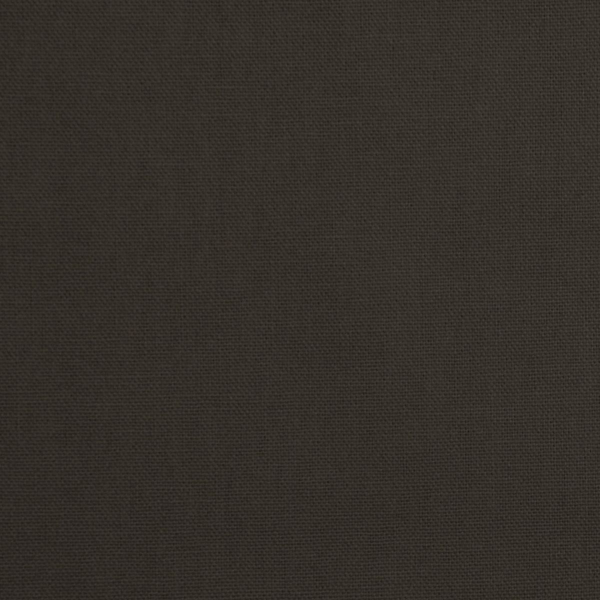 Daffy-Slate