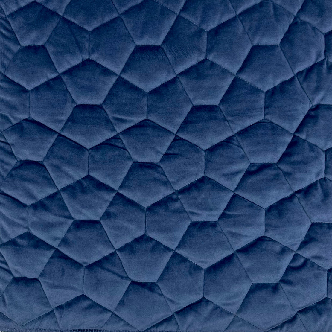 Aria Blue