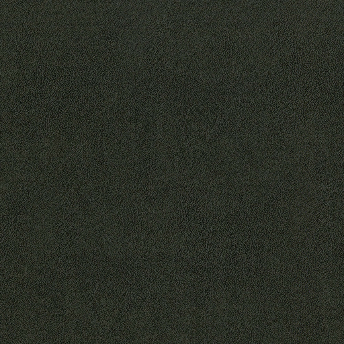 Greenhouse F2880 Fabric | Atlanta Fabrics
