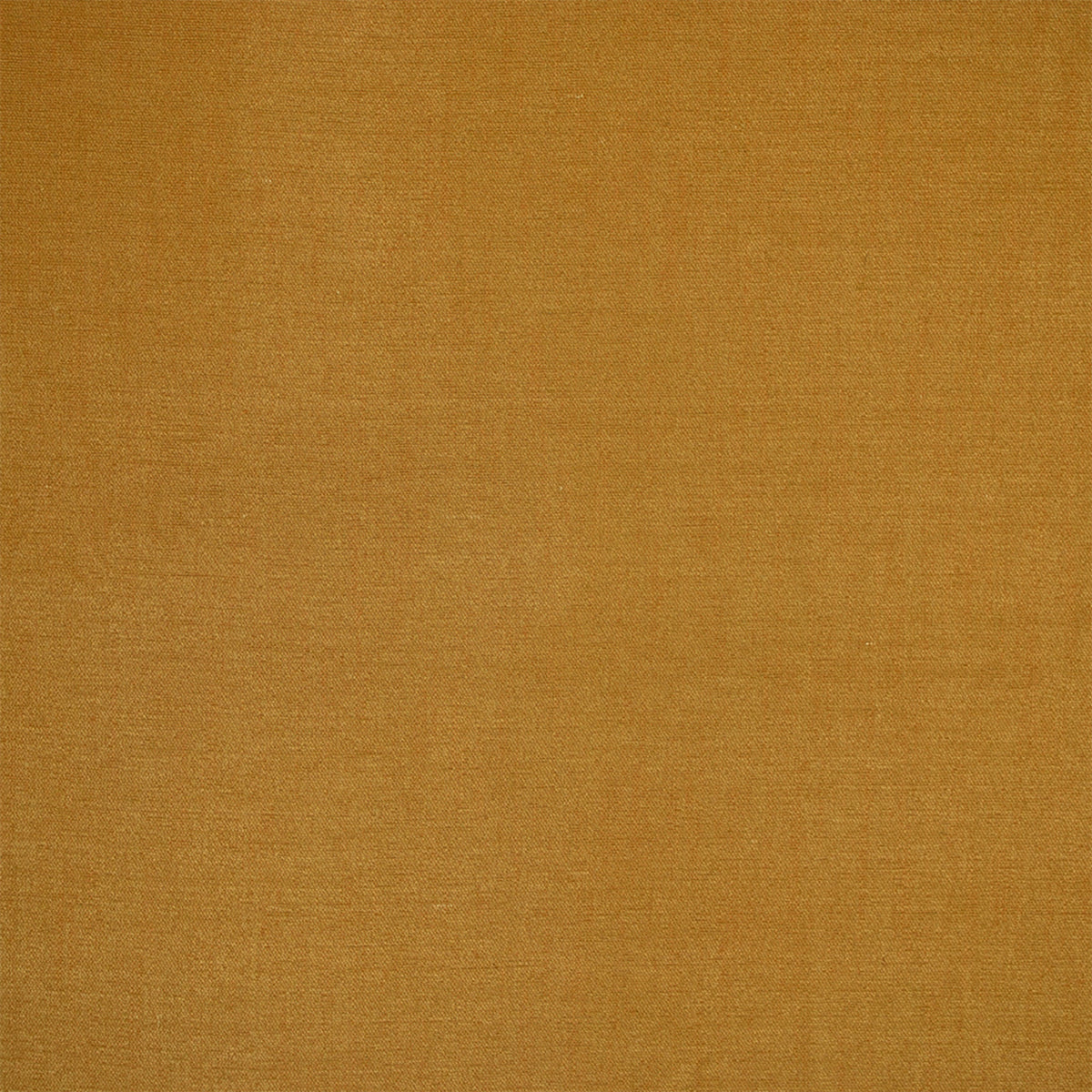 S6984 Honey