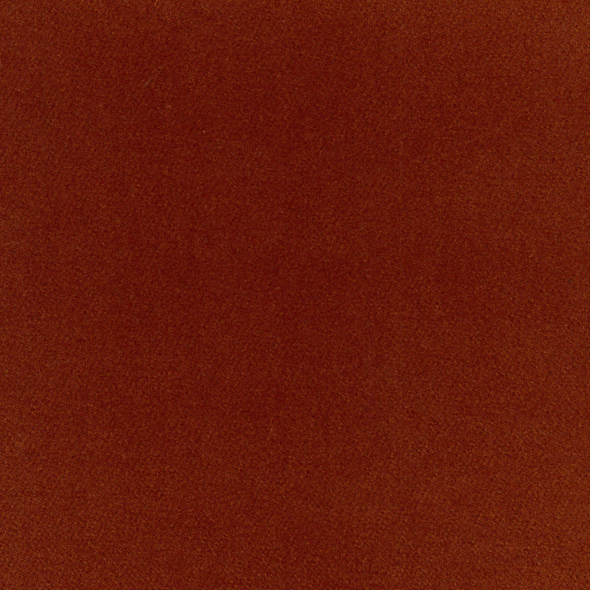 A5317 Zinnia