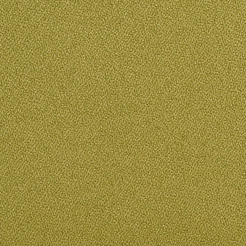 1763 Aloe