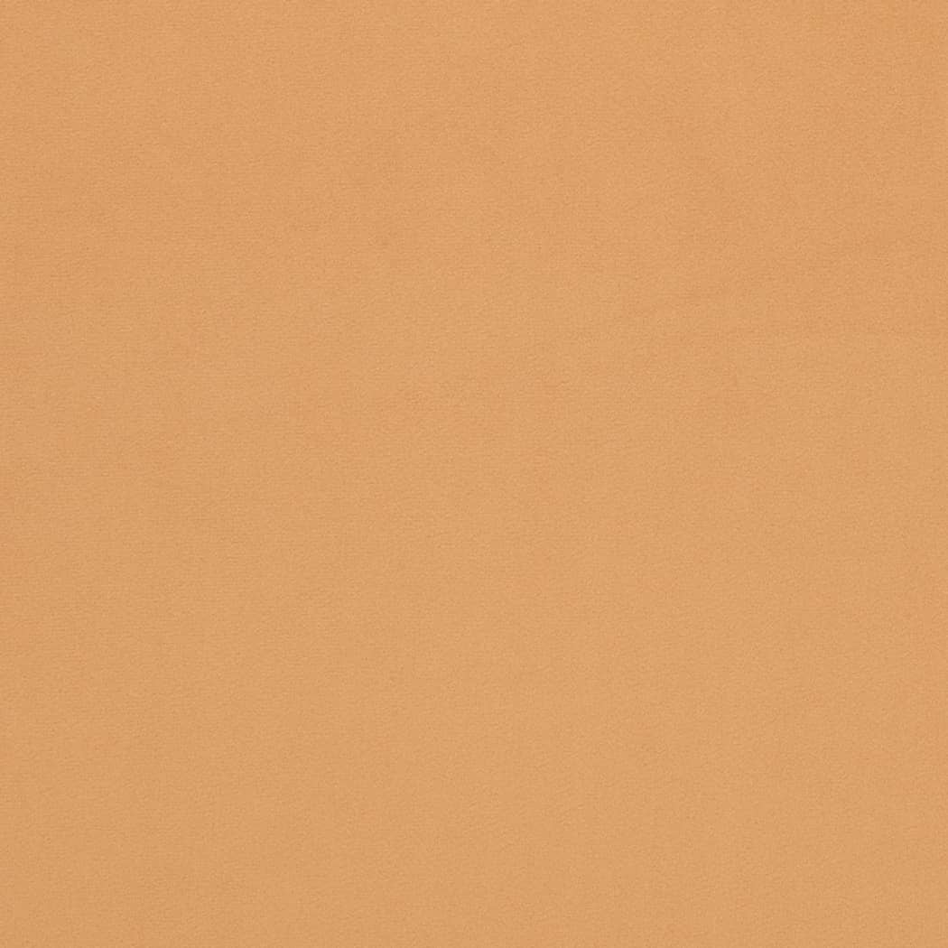D4499 Camel