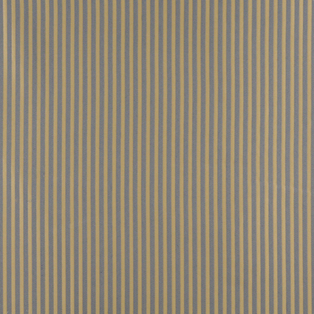 4369 Chambray Stripe