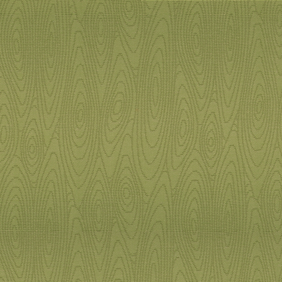S7760 Clover