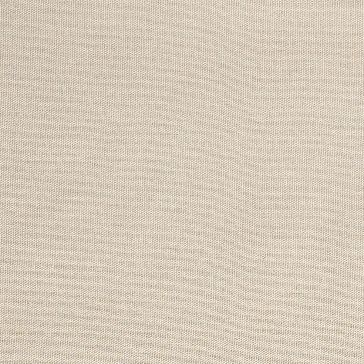 Quack Quack-Eggshell - Atlanta Fabrics