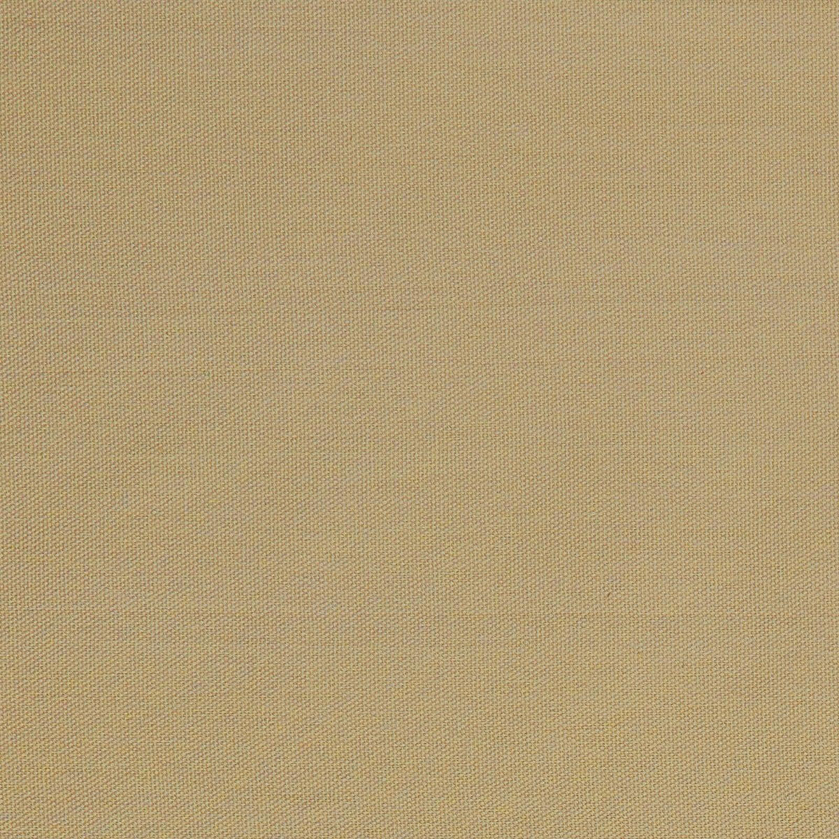 Quack Quack-Latte - Atlanta Fabrics