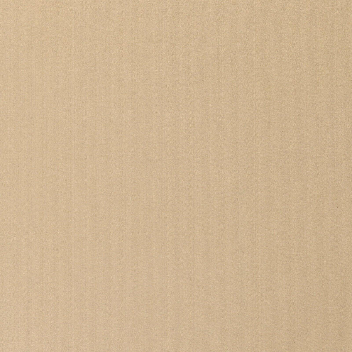 Splendor-Champagne - Atlanta Fabrics