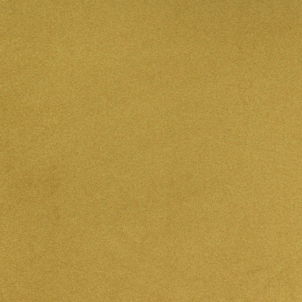 Mitchell Fabrics Tarzan-Goldenrod Fabric | Atlanta Fabrics