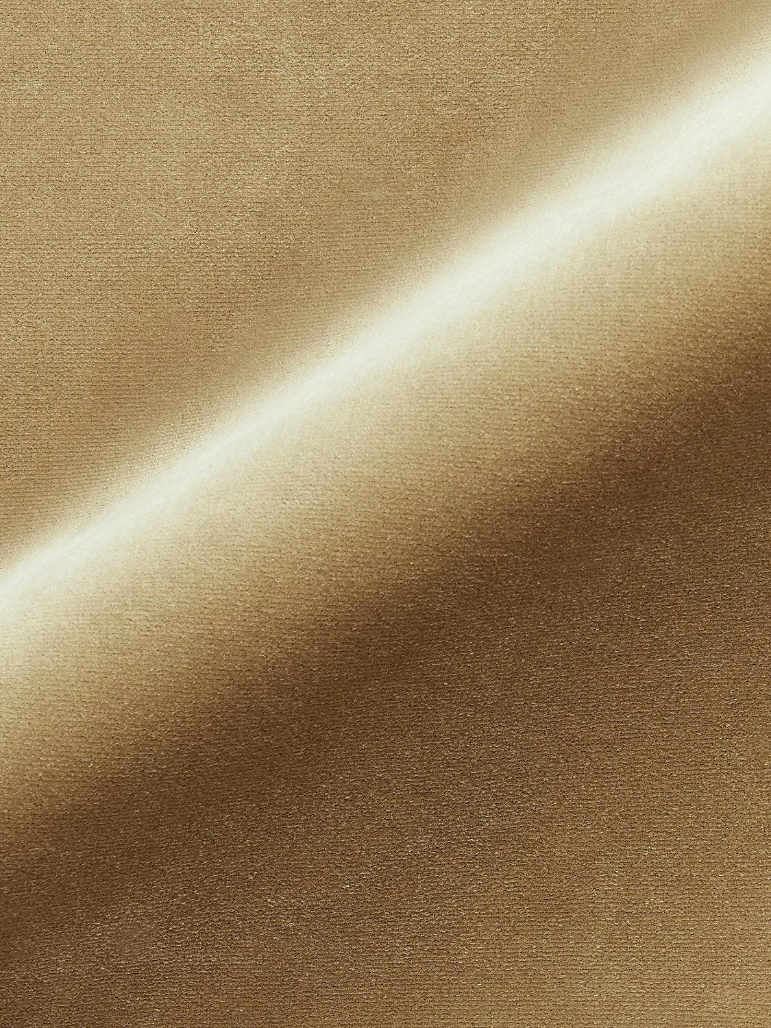 Old World Weavers TORINO VELVET DOE Fabric | Atlanta Fabrics