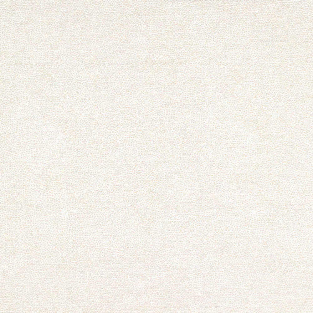 Interior Ivory