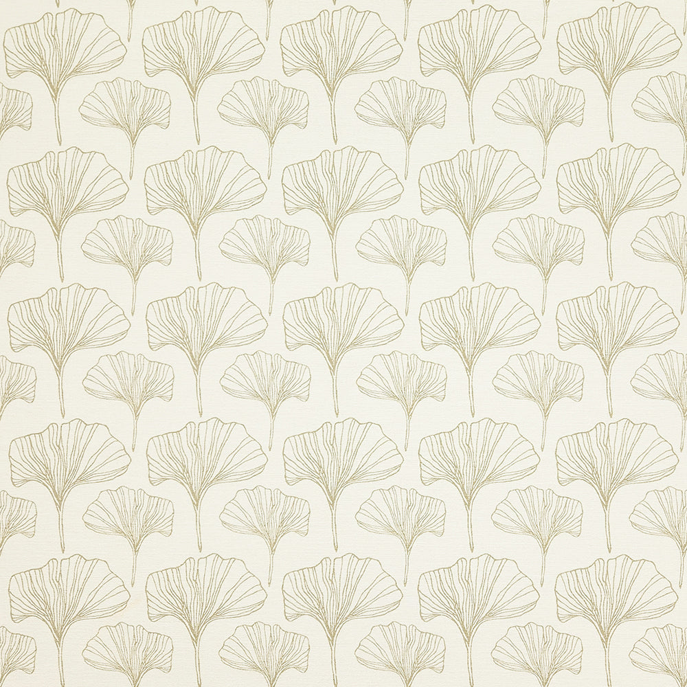 Ginkgo Sketches Natural