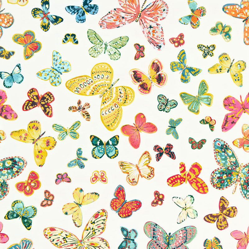 BUTTERFLY MULTI
