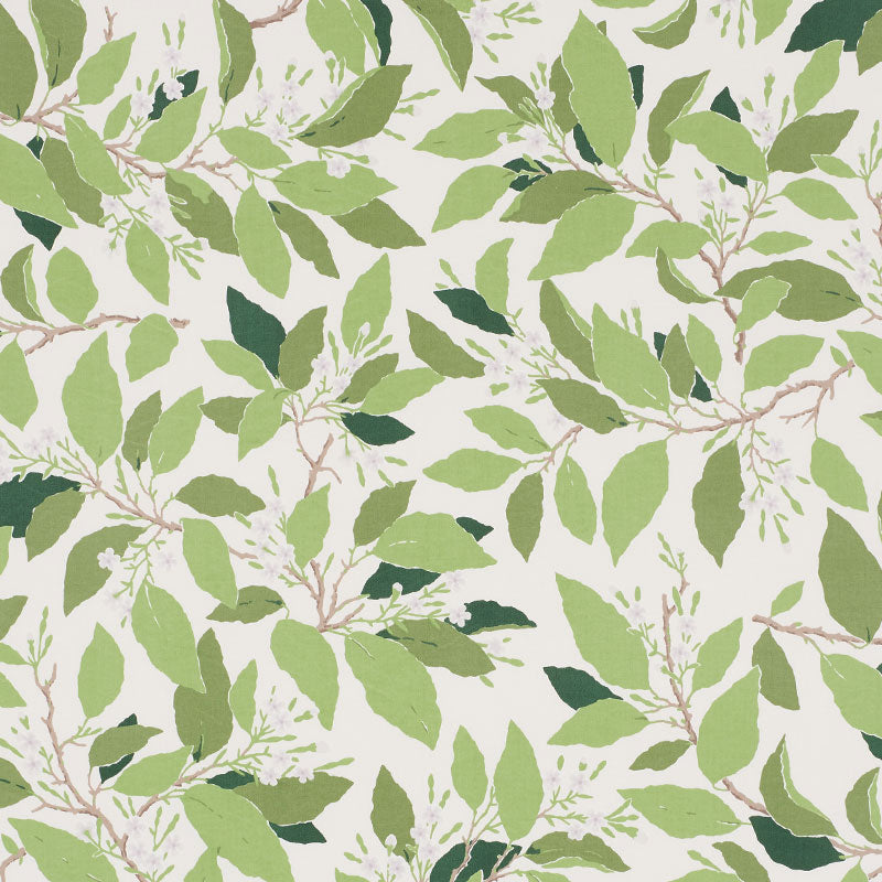 DOGWOOD LEAF IVORY