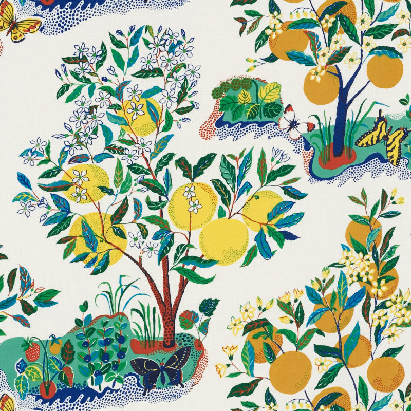 CITRUS GARDEN INDOOR/OUTDOOR PRIMARY