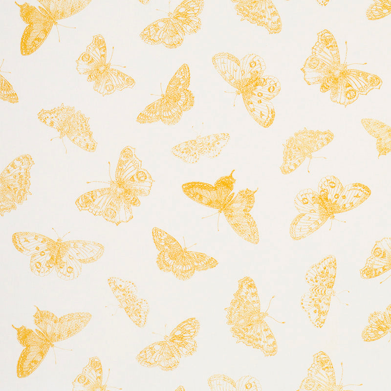 BURNELL BUTTERFLY YELLOW