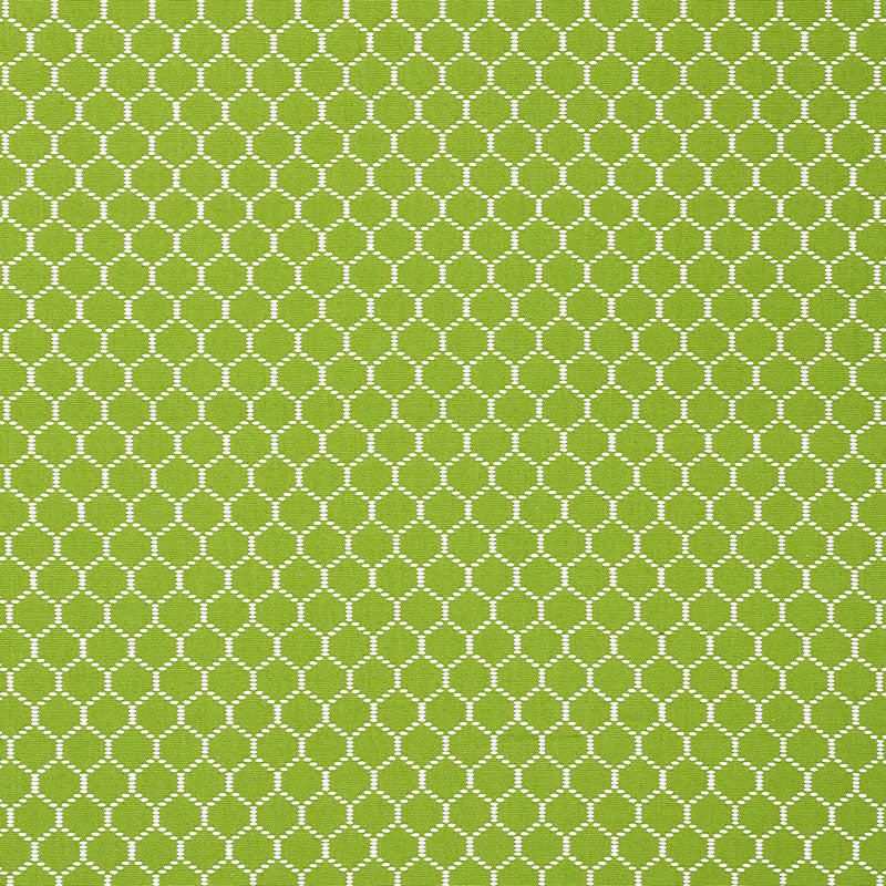 FISHNET LEAF