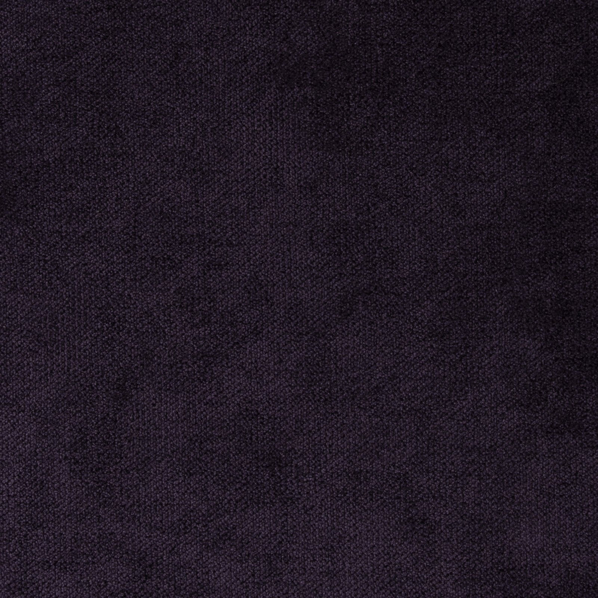 Domaine-Eggplant