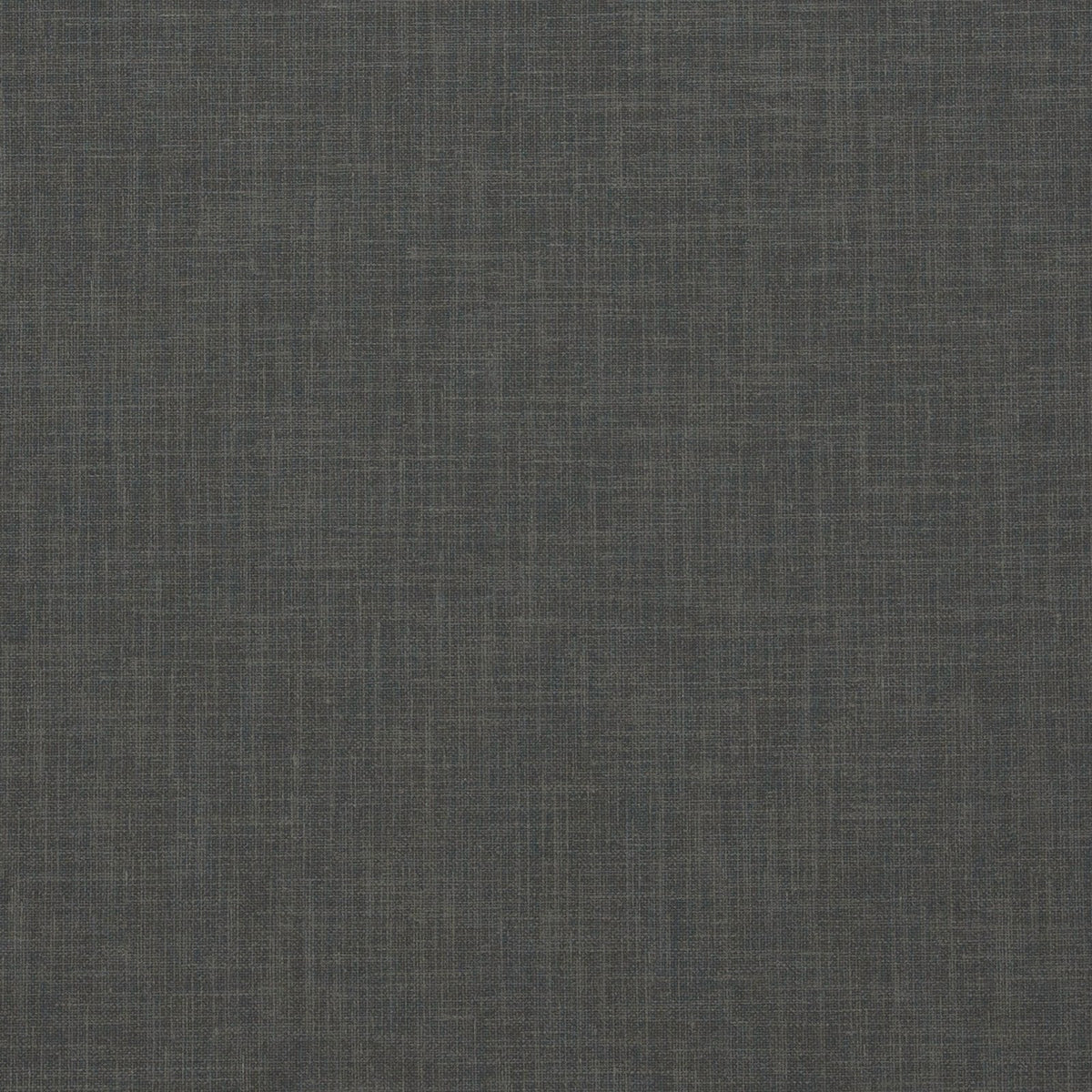 Berber-Plume