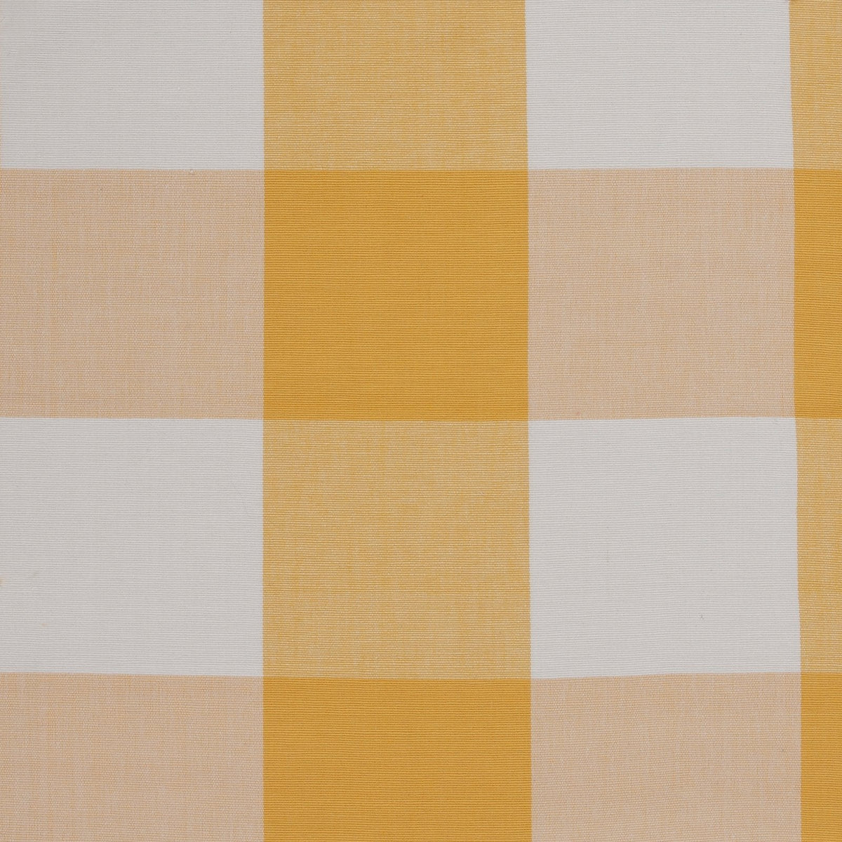 Buffalo-White/Yellow