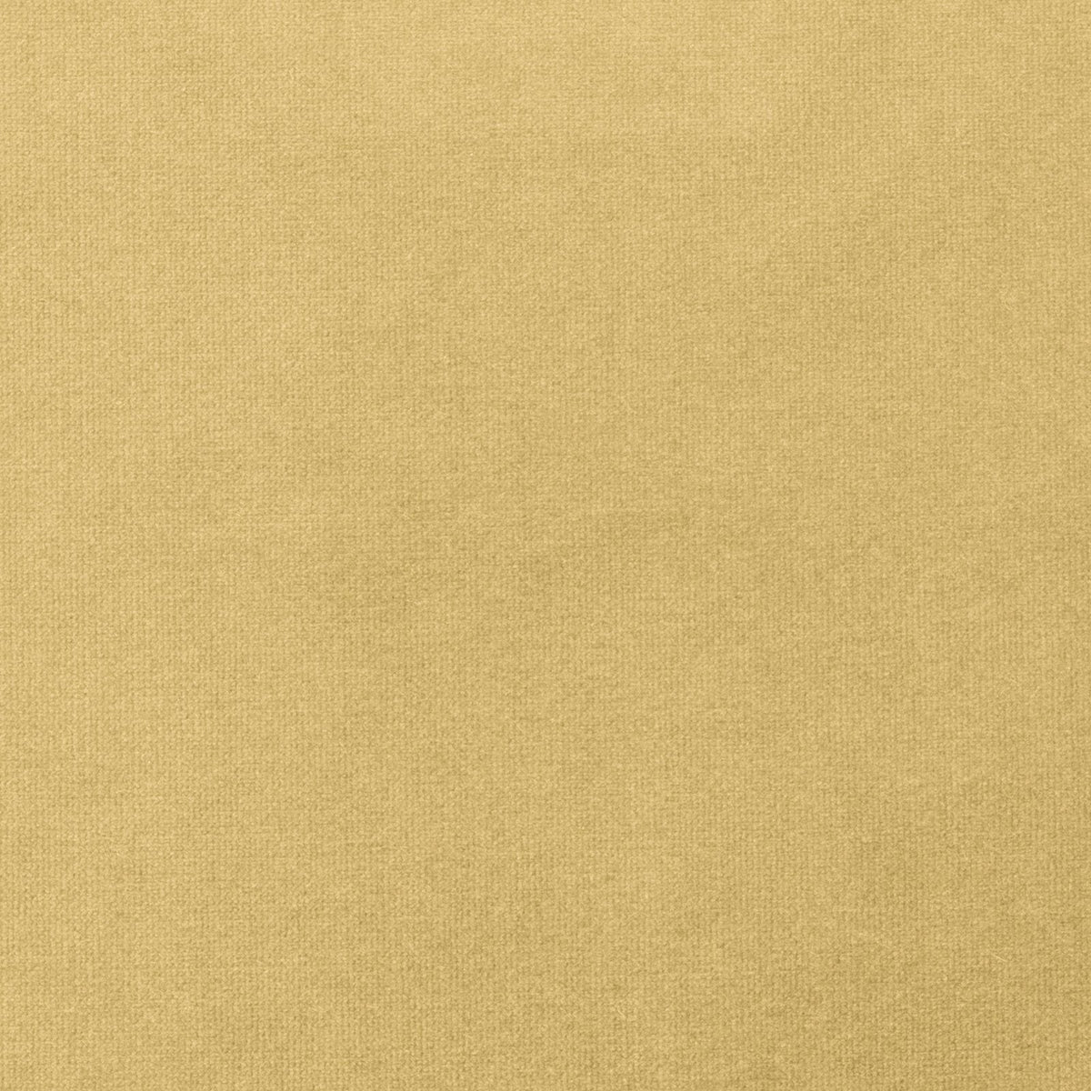 Harlem-Gold Dust