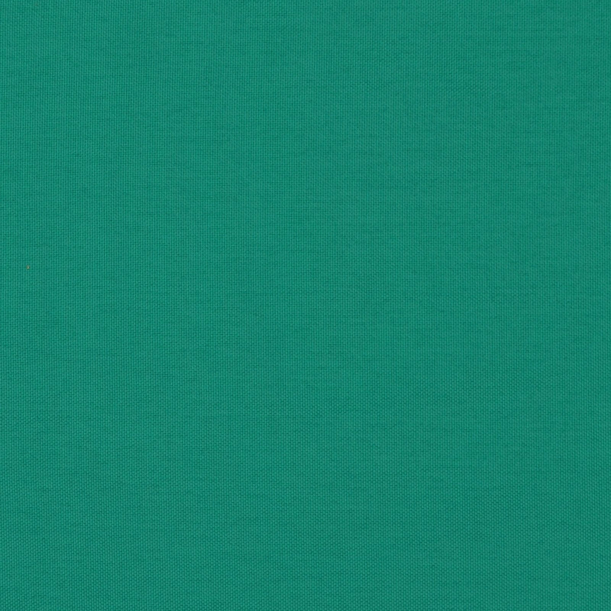 Pompano-Jade