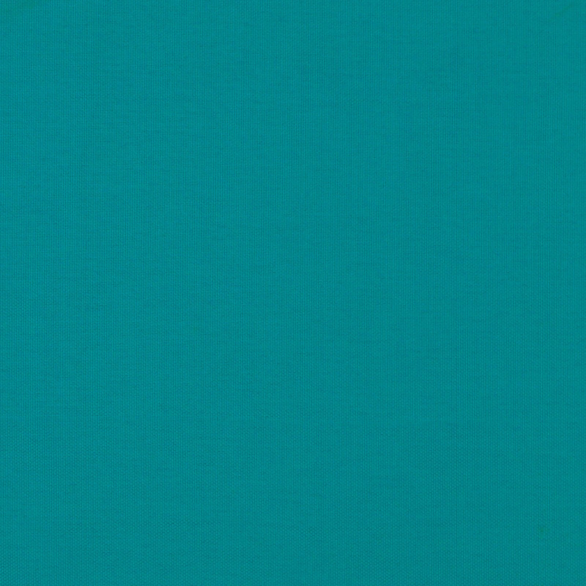 Pompano-Caribe