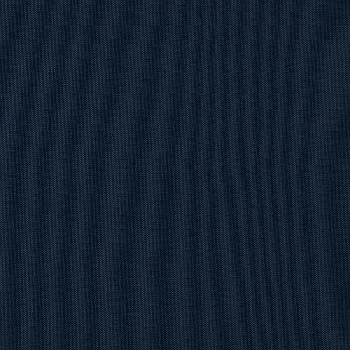 Pompano-Dark Denim