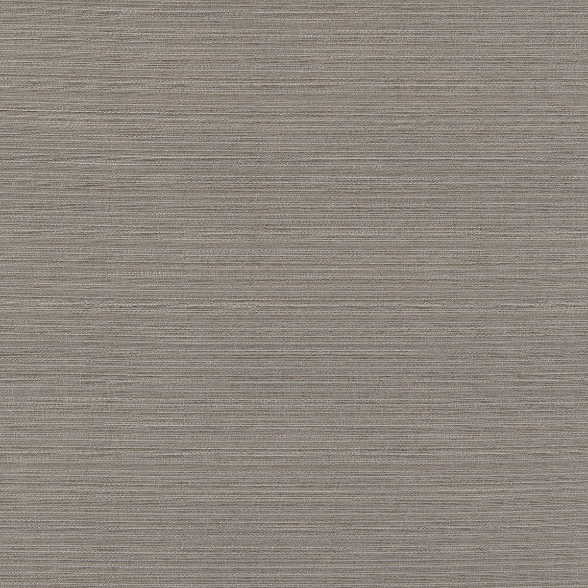 Macari-Sand Dollar