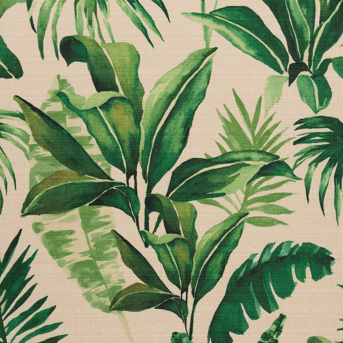Peking-Clover