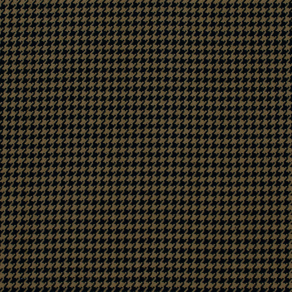Hackney-Black