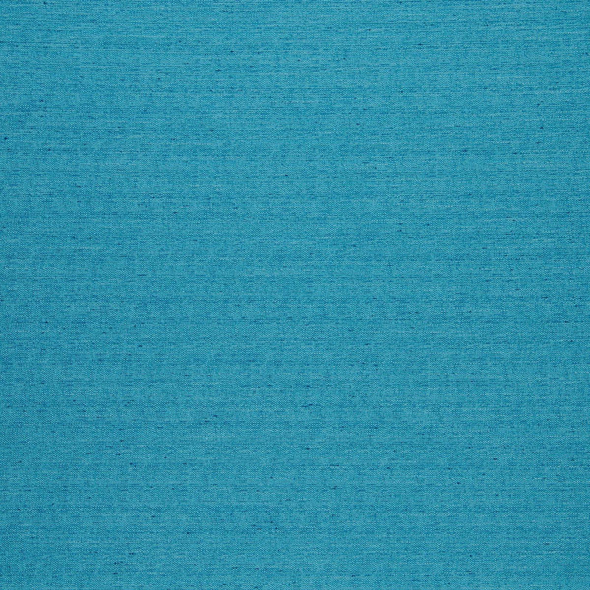 Director-Aquamarine