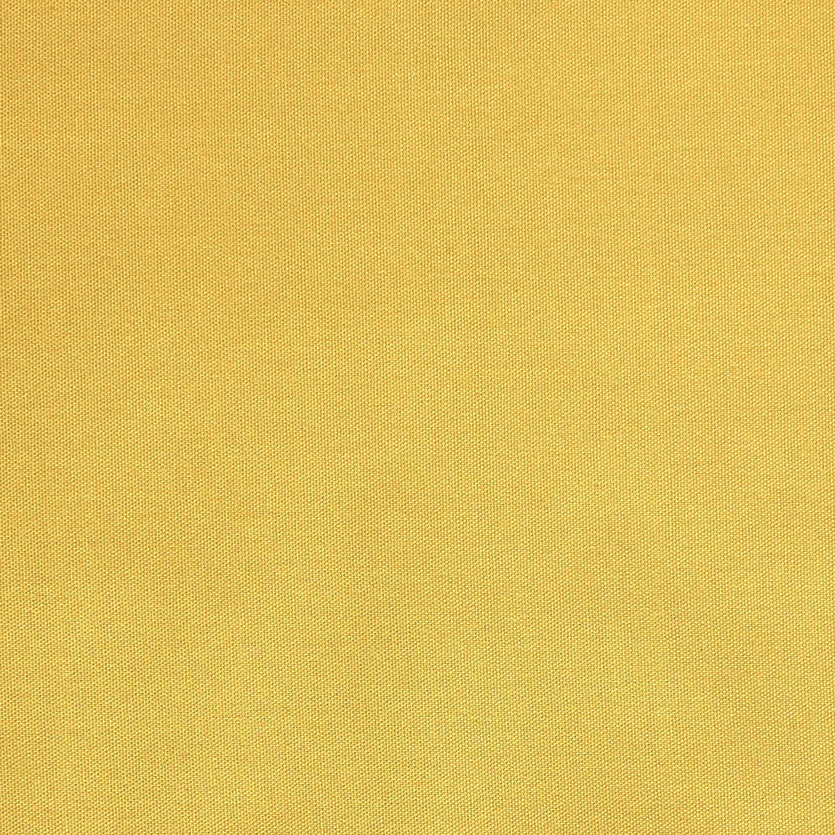 Quack Quack-Yellow