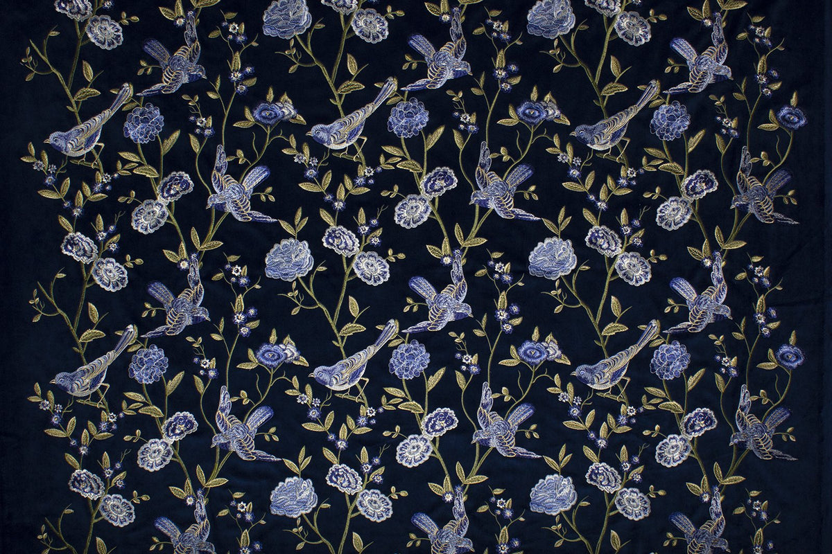 Birdland-Blue