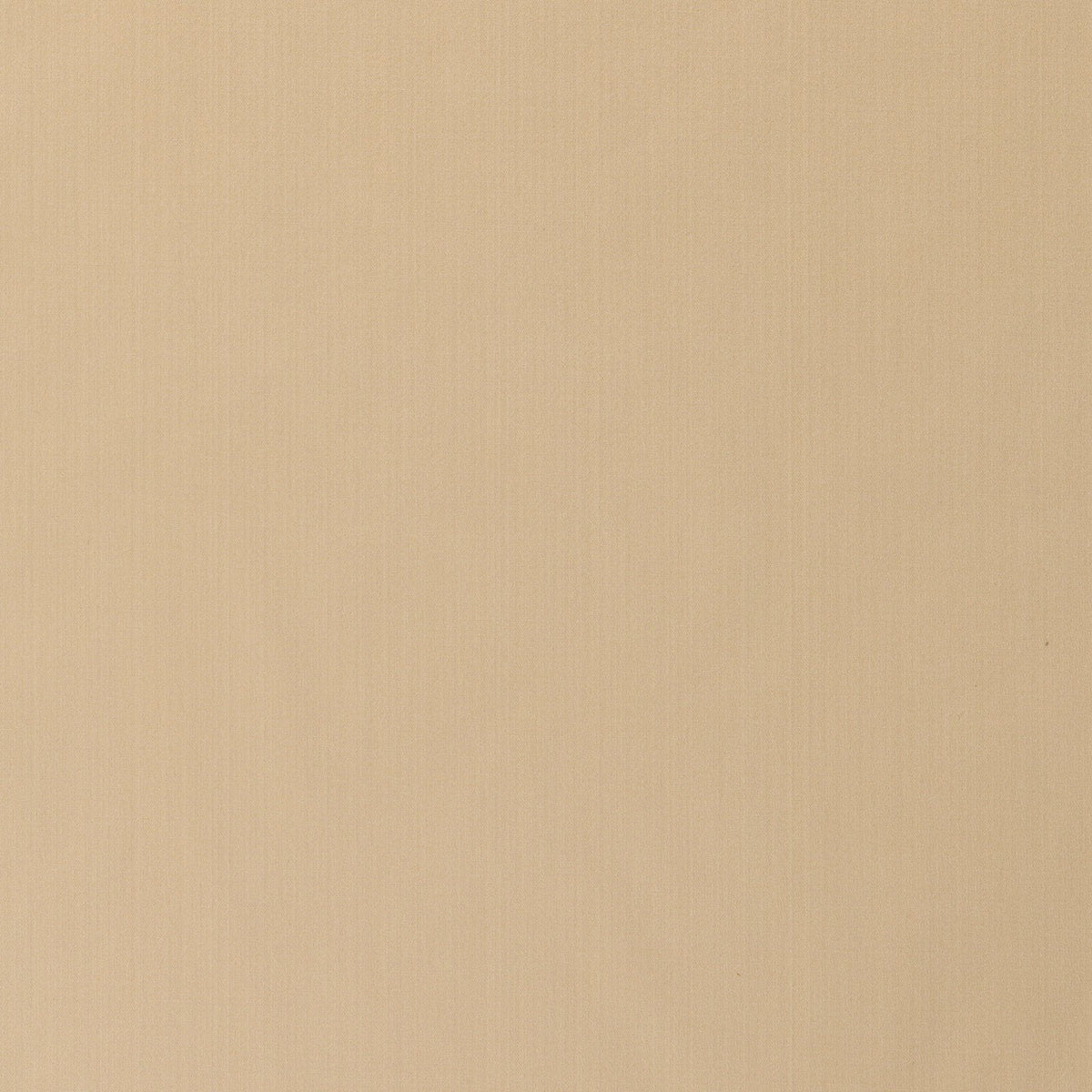 Splendor-Champagne